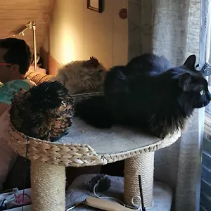 Wohnen Im Ampertal In Appartement Gräfrath